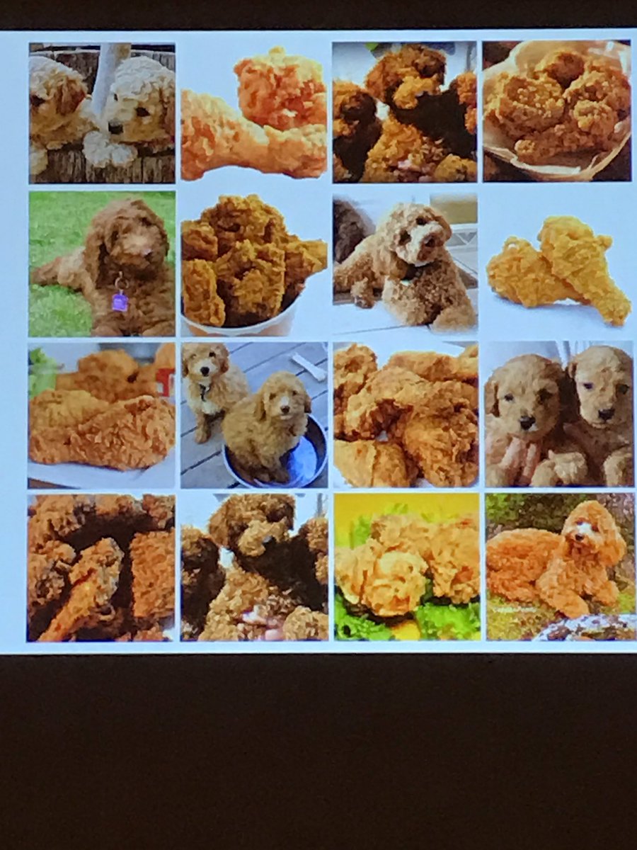 joelsknowden's tweet image. This gets my vote for most unexpected slide at the conference. Fascinating keynote on the capabilities Of AI by Dr Arai #IBYOK2017