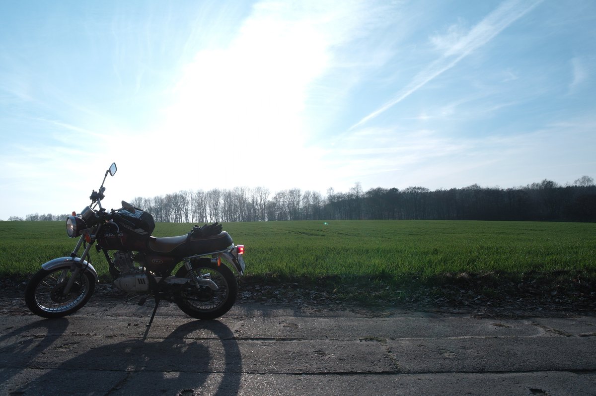 WikingerArt's tweet image. 