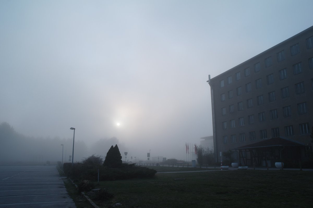 WikingerArt's tweet image. 