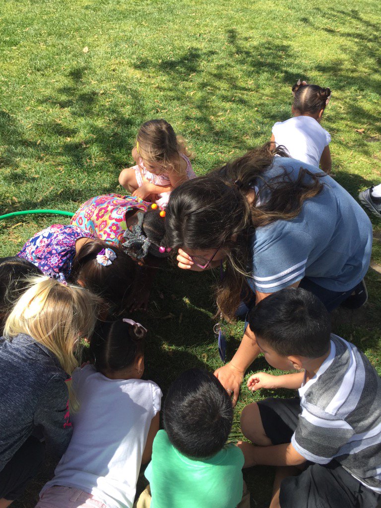 lesmesprek's tweet photo. Pre-k Observing a ladybug #pvshares #cougarpride #pre-k https://t.co/iLjKrvKOM3