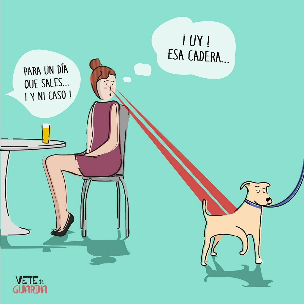 Vete De Guardia tweet media
