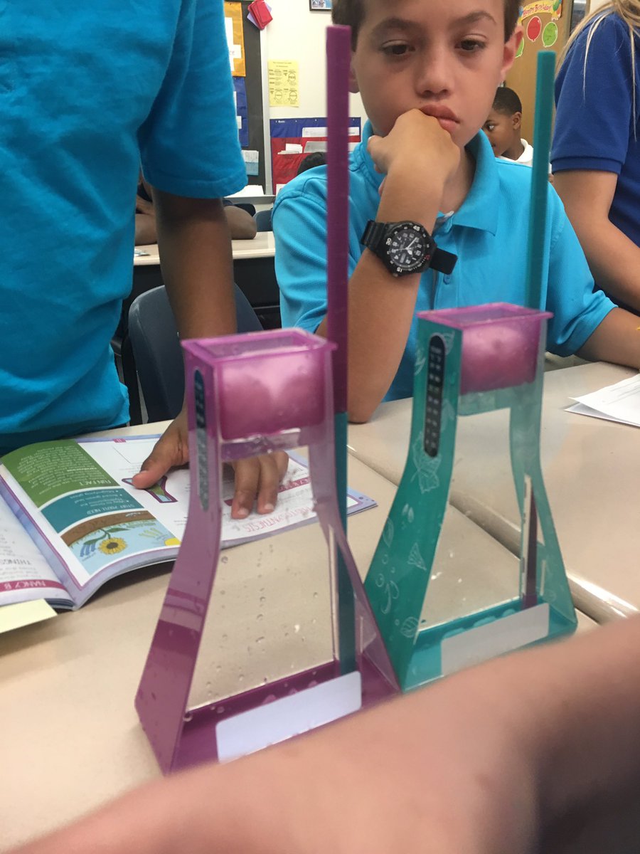 fknutson12's tweet photo. What do seeds need to grow? Hydroponics kit- light/dark  students make more trials w/ their own ideas! #VolusiaStem https://t.co/dbX5Fr31WG