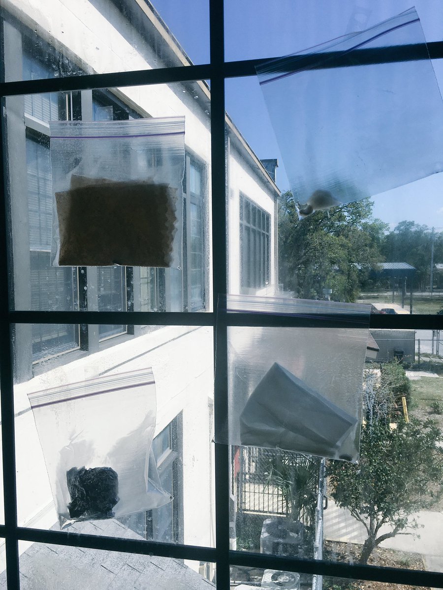 fknutson12's tweet photo. What do seeds need to grow? Hydroponics kit- light/dark  students make more trials w/ their own ideas! #VolusiaStem https://t.co/dbX5Fr31WG