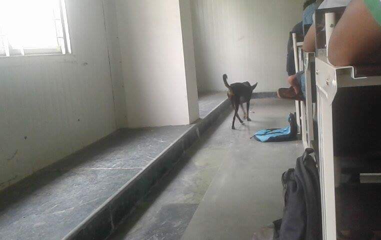 rp43563's tweet photo. #nitb_injustice 
@PMOIndia 
@PrakashJavdekar 
@ndtv 
@aajtak 

Pathetic condition of Manit classrooms. https://t.co/f4jz7qh87J