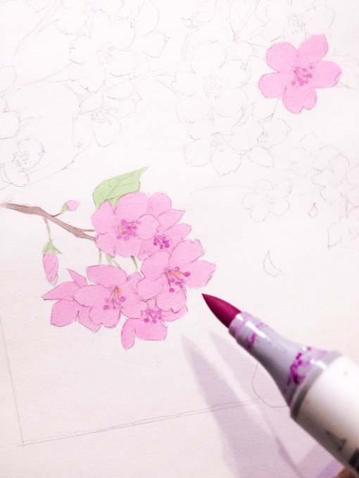 「flower pink flower」 illustration images(Oldest)