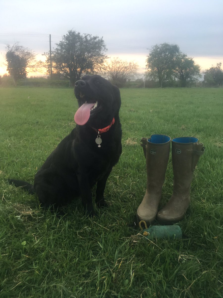 Ebonni Beretta #LoveChameau #GunDog