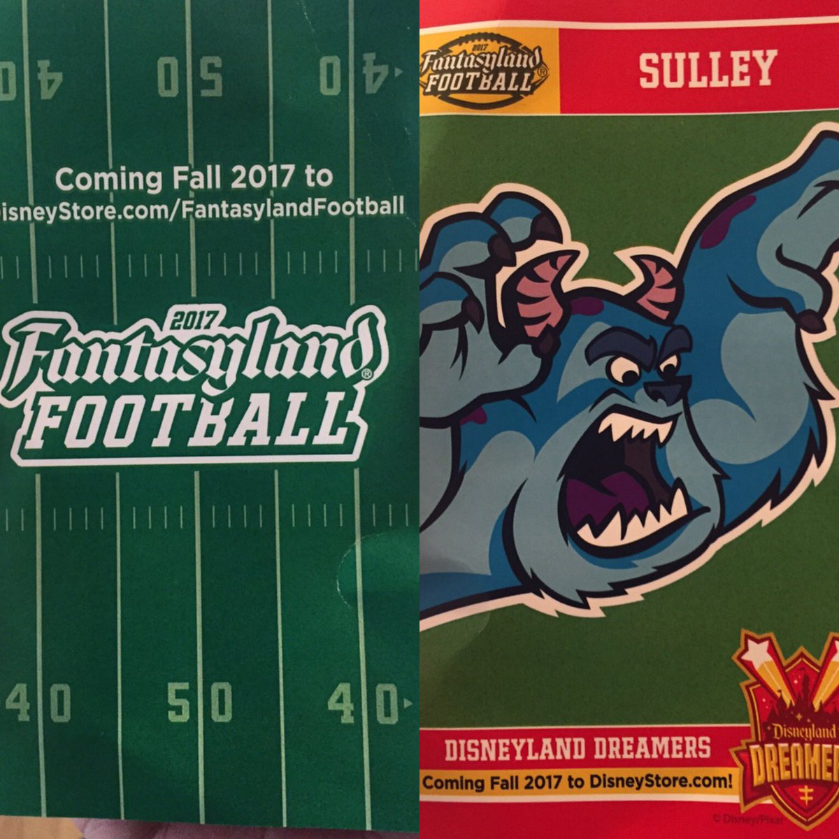 ckg623's tweet photo. Got my @DisneyParks #MarchMagic shirts only to find an announcement about #FantasylandFootball  This is my sports. https://t.co/gbMQYoruoc