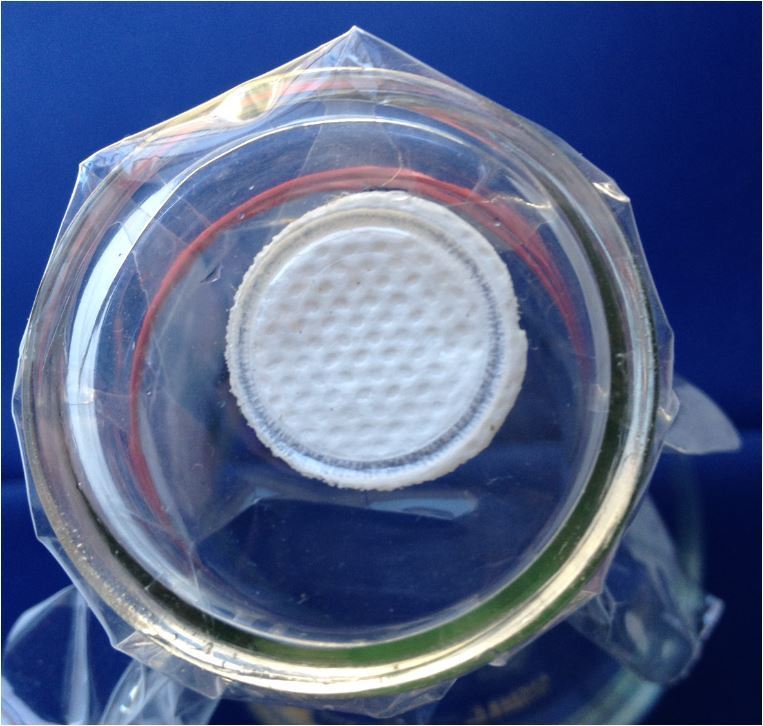 MoneyRSS's tweet image. New tech tissue culture sterile air ventilation, resuable &amp;amp; autoclaveable
