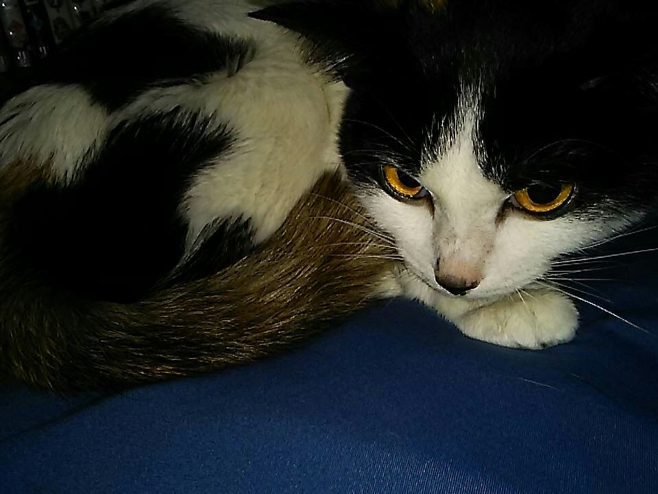 🦋よし子😻💚⋆͛🦋⋆͛«٩(*´ ꒳ `*)۶»💚🦋 (@geena0904) / Posts / X