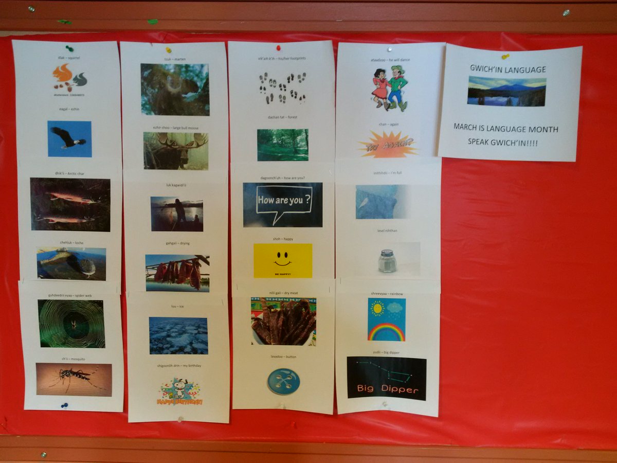 DavidWasylciw's tweet photo. Picking up some language tips in Fort McPherson @SpeakGwichin #nwt #languagemonth https://t.co/6pRyIRQbGw