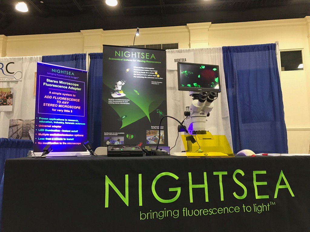 NIGHTSEA29's tweet photo. #nightsea29 #fluorescence at Drosophila Research Conference #DROS17 https://t.co/62caXLmaug