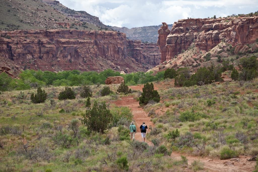 BLM_CO's tweet photo. Today marks 8 years since Dominguez-Escalante NCA and Dominguez Canyon #Wilderness were designated. Happy Birthday! #seeBLM #getoutdoors https://t.co/meJ81STOTF