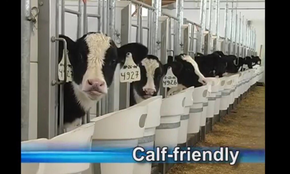 CanarmAgSystems's tweet photo. View our video to learn more about @CanarmAgSystems' innovation to indoor calf housing #ComfyCalfSuites https://t.co/zWvLFLw2A8 https://t.co/VdWcy00Ggh
