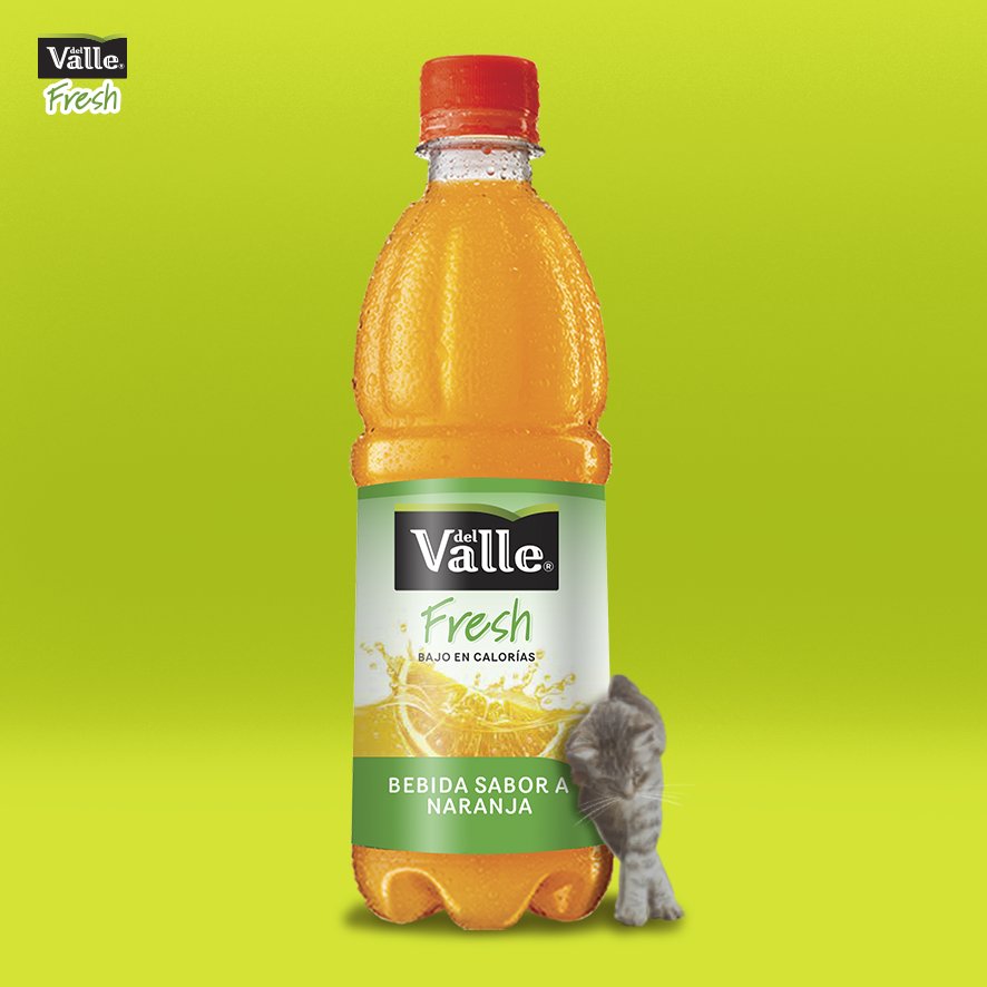 DelValleFresh's tweet photo. Los animales también forman parte de la familia y del cariño. Además, su vinculación con los niños trae muchos beneficios. https://t.co/udHsqGH7fC