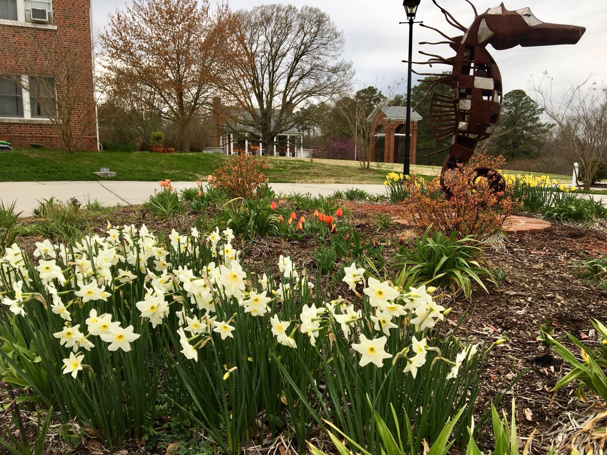 CCSHeadmaster's tweet photo. It's spring at #christchurchschool
#sailing #lax #soccer #baseball #crew
it's all happening right here!  #goblue! https://t.co/i5DYGobbhX
