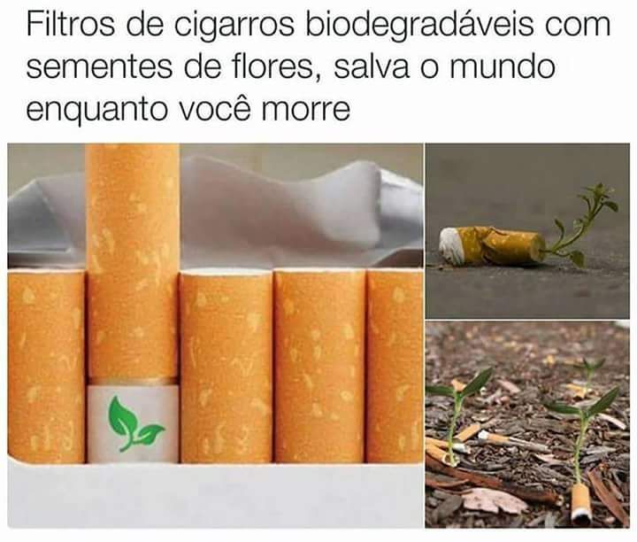 e_o_brejo's tweet photo. 🌾🌲🌳 #éobrejo #meioambiente #sustentabilidade #conscienciaambiental #educacaoambiental #nature #natureza #savetheea… https://t.co/Ot4Nr3D4Uk https://t.co/qgm0C6kDzV