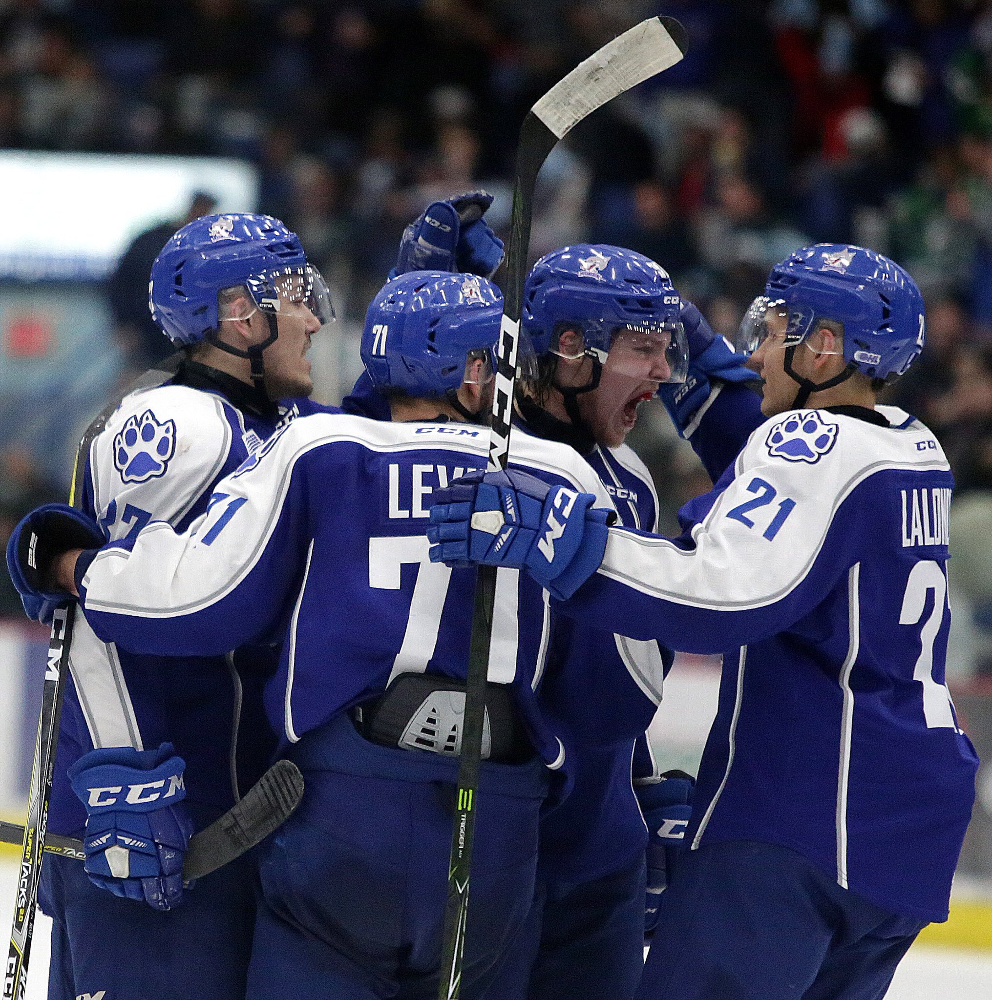 Gino Donato on Twitter "Members of the Sudbury Wolves celebrate Dmitry