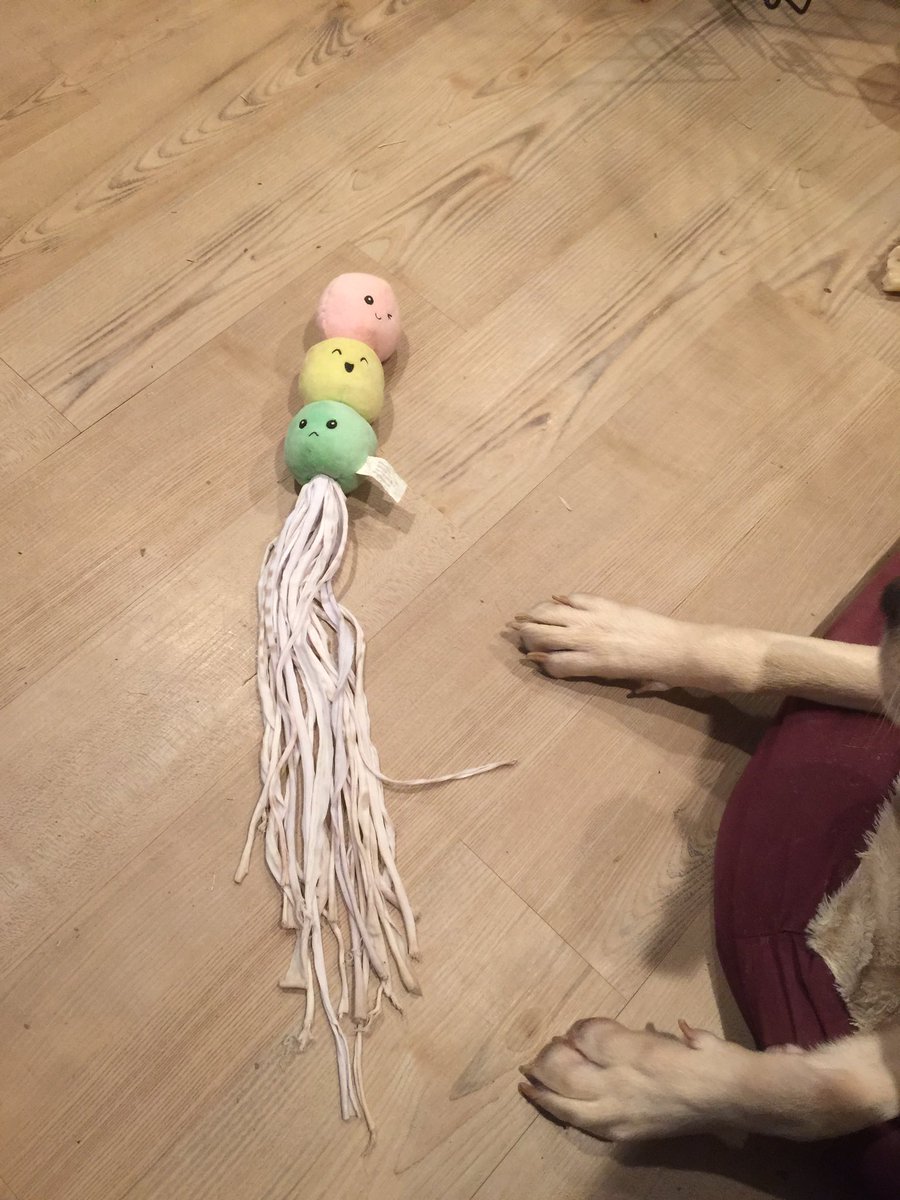 thecommish1984's tweet photo. @barkbox Chopper made the mochi into some sort of sea creature. https://t.co/Pq6qCFDdph