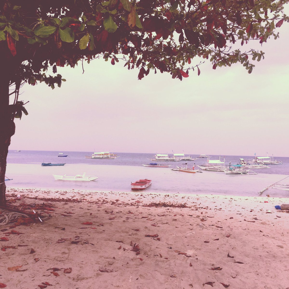 angelaAchavez's tweet photo. Fall be like🍂🍁🍂🍁🍂🍁 #Malapascua #BeachFall #Cebu #daanbantayan #travels #AngelaTravels2017 #mornings #beachcrazy https://t.co/LEuvN38Dud