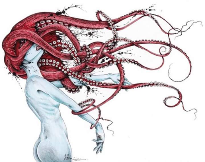BeaArthur65's tweet photo. 🐙🐙🐙😍😍 https://t.co/eXl5KCWxa1