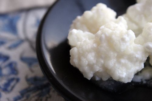 yourkefirsource's tweet photo. Fermenting #kefir: what you need to know.https://t.co/4ZvzenTkWh https://t.co/jblBkUfMrn
