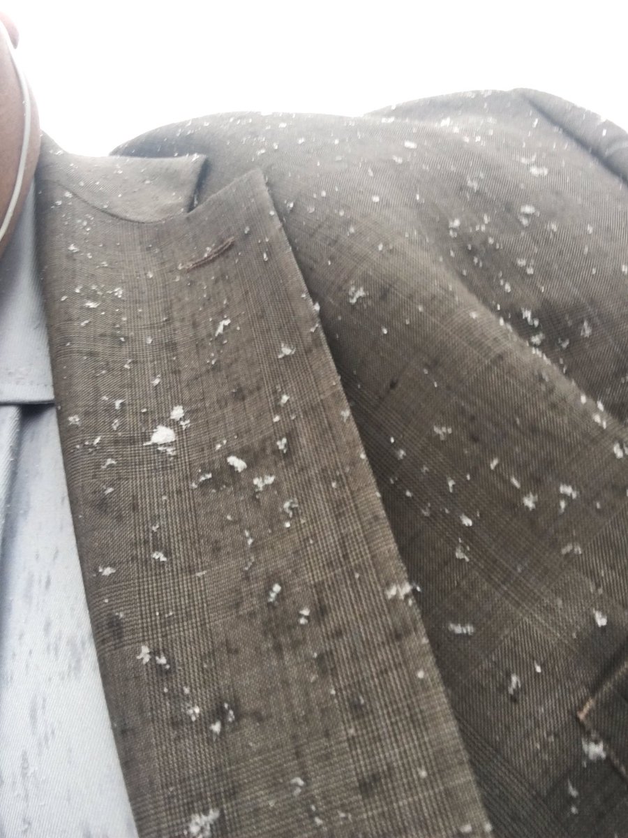 richcarrillo7's tweet photo. Carson @ the end of March #notdandruff #makeitstop #blizzardlikeconditions #nvleg https://t.co/3ggDEZLqt8
