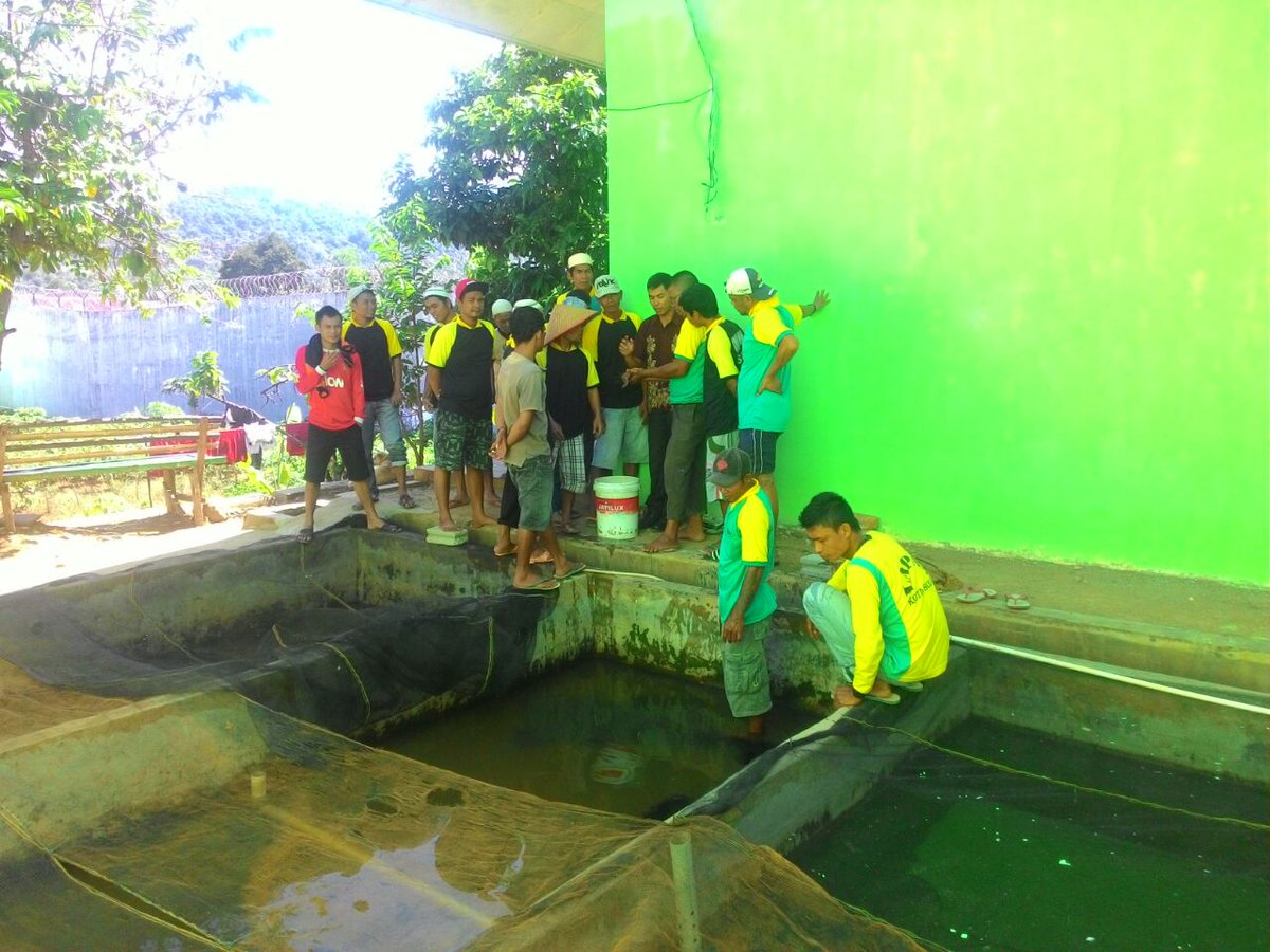 Karsunanda03's tweet photo. Penyuluhan Pembenihan ikan lele di Lapas Kota Solok Berbagi untuk mengisi waktu @puslatluhkp @BudidayaKKP @susipudjiastuti @PPBPUSLUHDAYAKP https://t.co/TNSuazU4sh