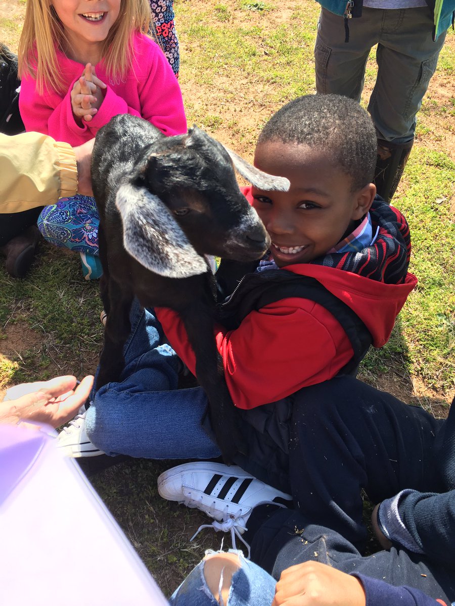 TGSKindergarten's tweet photo. Some kids came to visit our kids today. https://t.co/cbJ7upnDuK