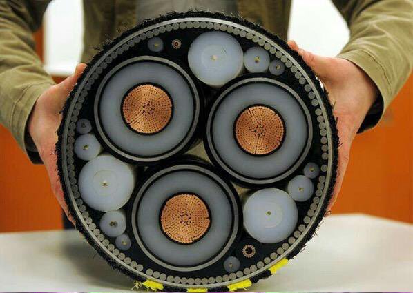 ValaAfshar's tweet image. Cross-section of undersea internet cables