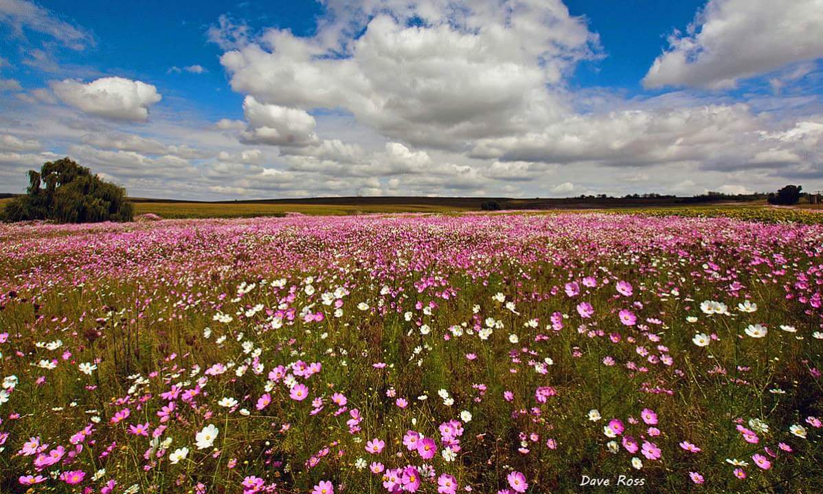 a_meiring's tweet photo. #Affirmation
God's HANDS have made
both HEAVEN &amp; EARTH
Everything in them
are HIS
Is66:2
#God the
#CREATOR of
#Everything

#GodsLoveChats https://t.co/jG9xNVKKjP