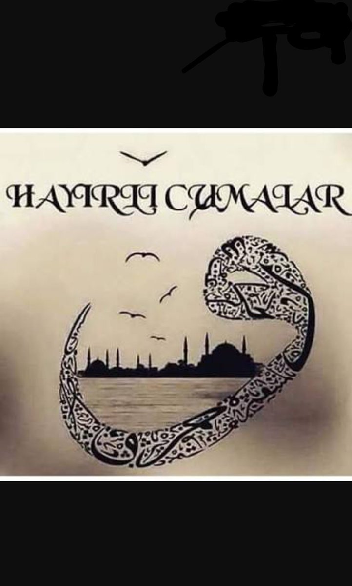 Mustafa Küçükdağ (@lifealone_) on Twitter photo 