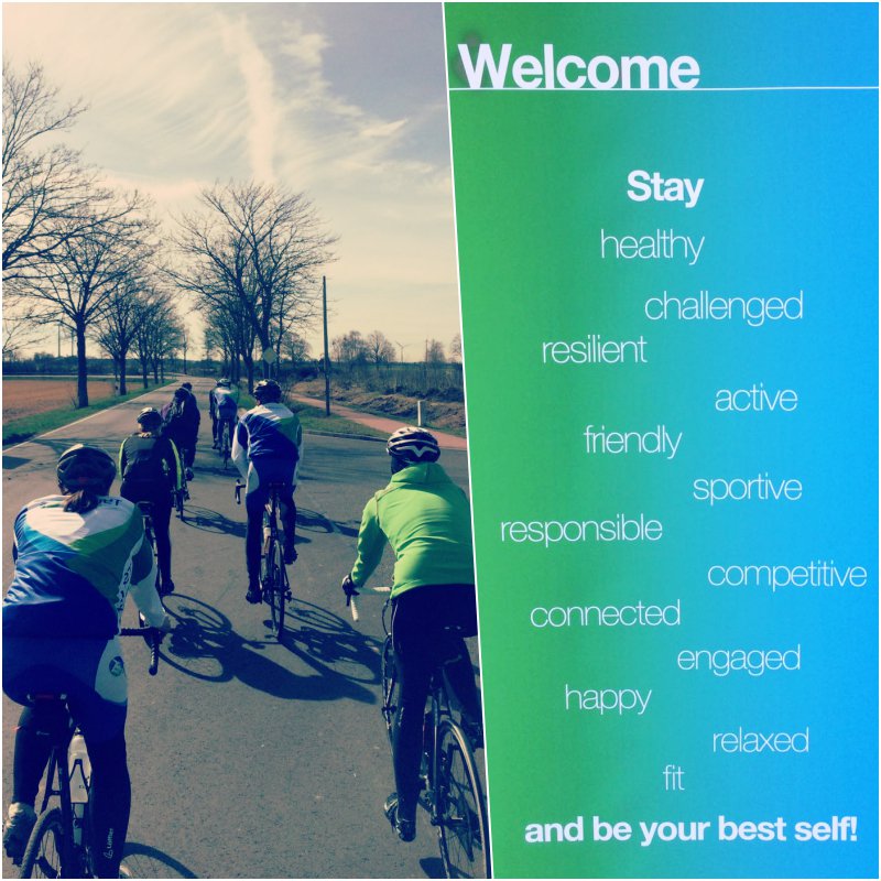 Ook jouw team gemotiveerd, fit en blijvend in beweging? Wij kunnen je helpen. DM voor meer info #healthycompany #team #sportgeluk