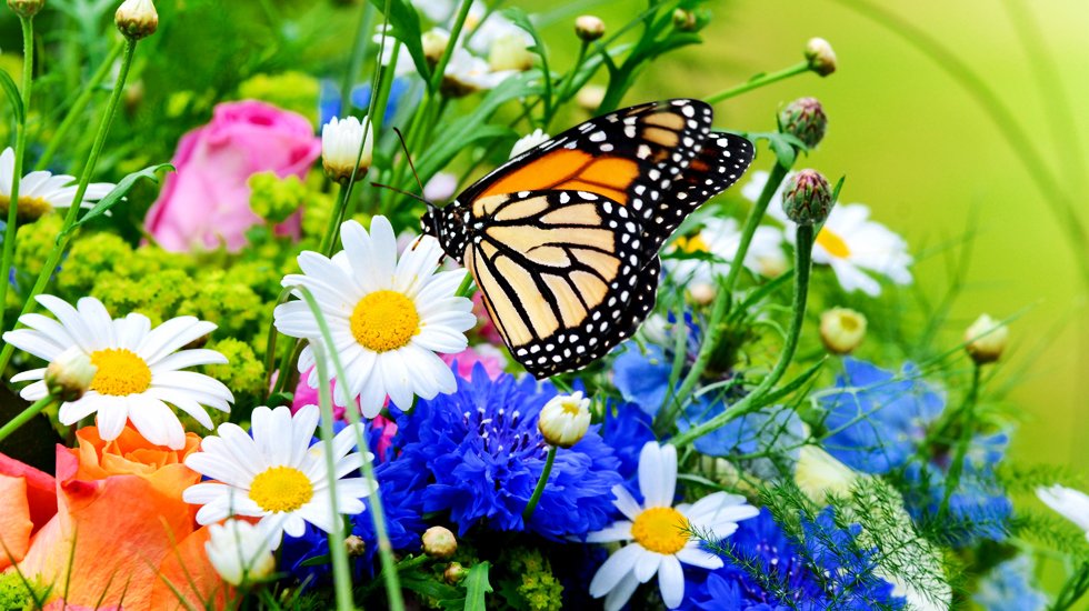 e_zop's tweet photo. E' #primavera lo scrigno di terra si apre
spargendo tesori:colori, profumi, sapori. https://t.co/6ICXyMWw4d