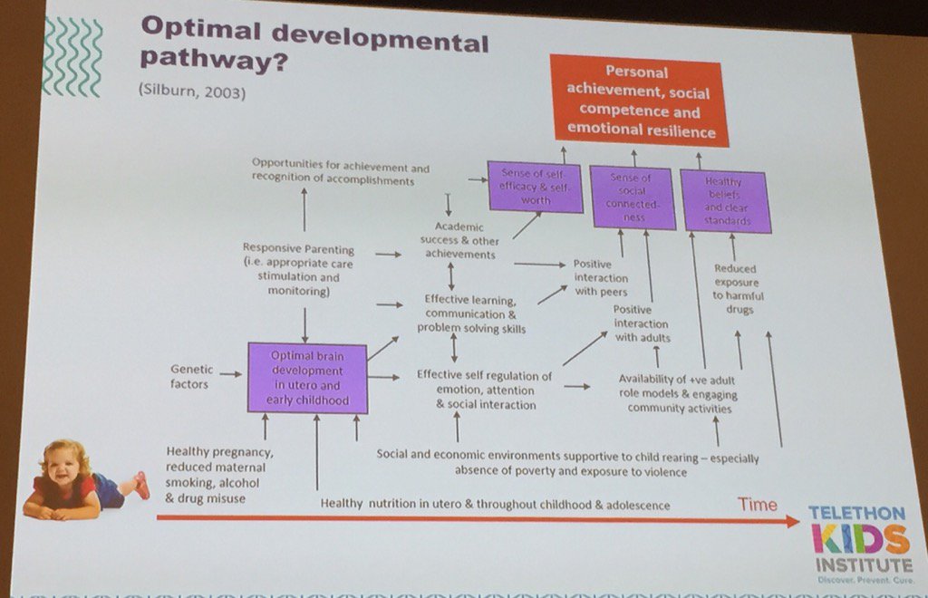 penny_dakin's tweet photo. Always great to hear from Prof Donna Cross about protective factors #ECLD17 https://t.co/idCTbdw6Jy