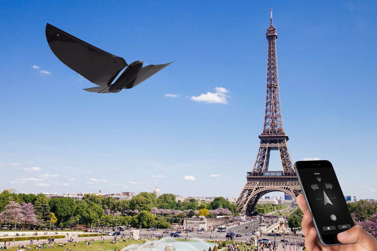 GeekircBlog's tweet image. #CONCOURS RT + FOLLOW @GeekircBlog &amp;amp; mon compte #Instagram instagram.com/legeeksp0rtif/ pour gagner #BionicBird : L&apos;oiseau #drone Fin le 30 avril