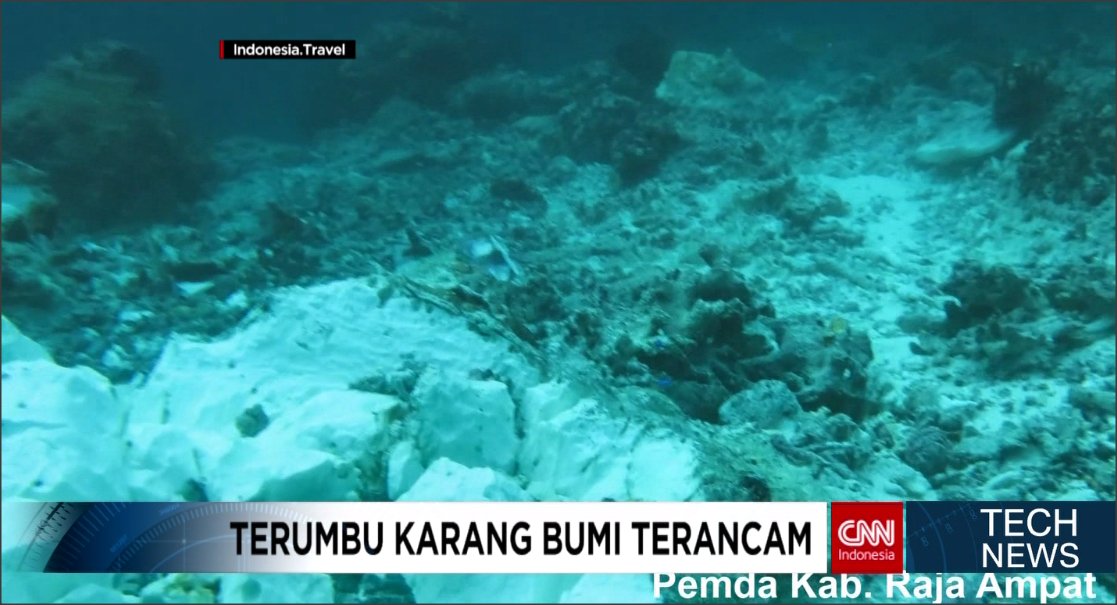 CNN ID Tech News tweet media