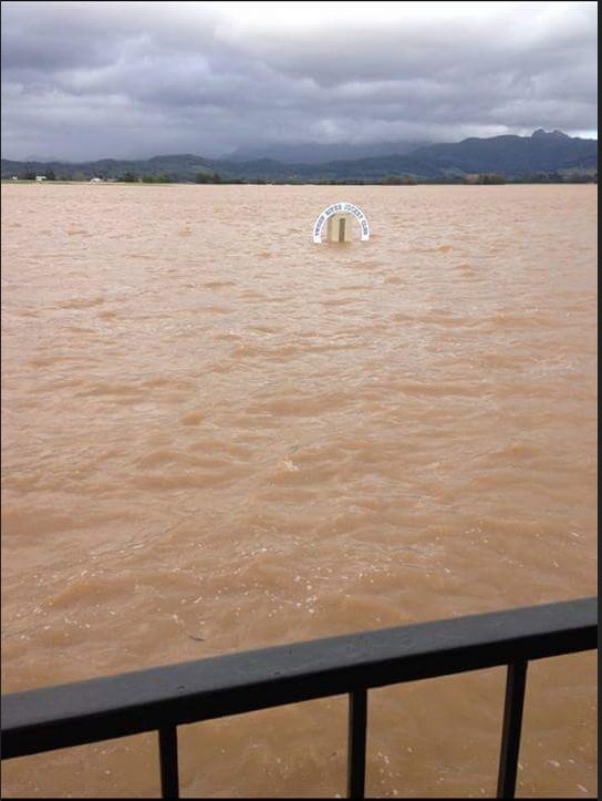 RSN927's tweet photo. Winning post at Tweed River Jockey Club as floodwaters rise. The course is there somewhere. Thanks to Halliday Racing Stables for photo. https://t.co/ONqeaXBJcN