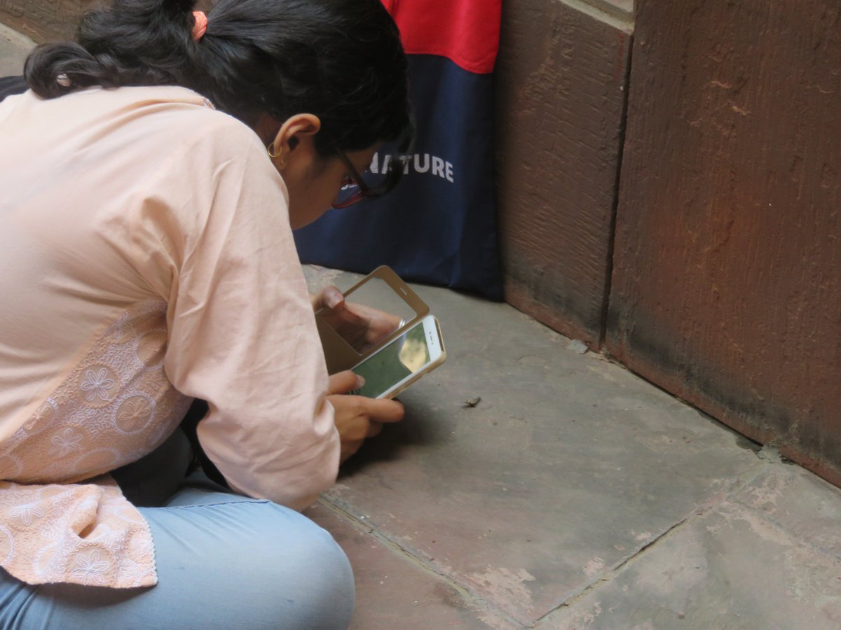 NatureInd's tweet photo. Telling a good science story wid pictures -- thumb rule is there is no thumb rule: @prasen88 @NatureInd @India_Alliance #VisualisingScience https://t.co/uIhdwBFrez