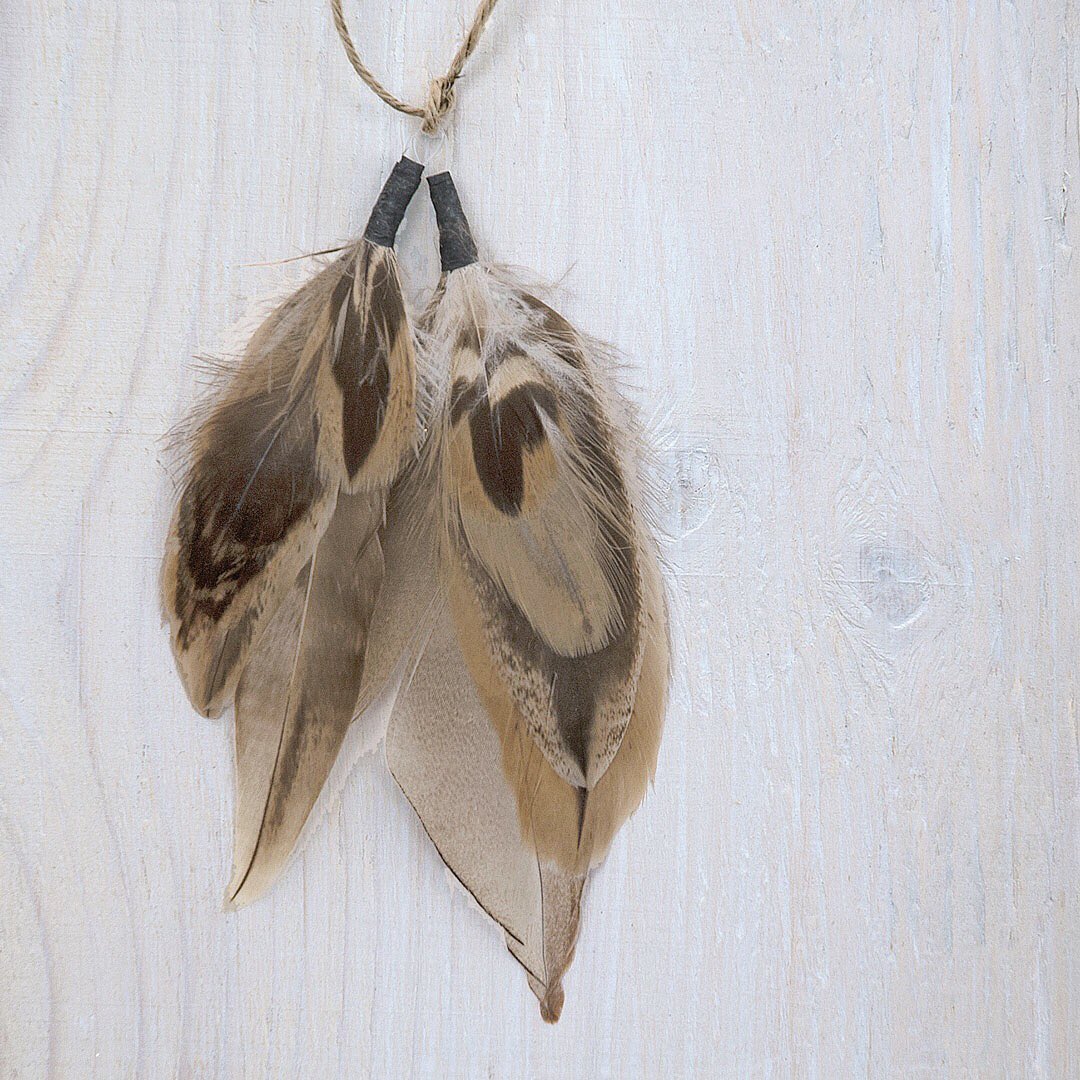 sdvisual_'s tweet image. Birds of a feather always flock together