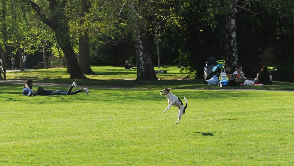 Qu'il est bon de flâner au #parcJouvet au #printemps 🌞⚘😎 avant le #ReCreations demain. La suite à lire dans <a href="/LeDL26et07/">Le Dauphiné Libéré Drôme et Ardèche</a> 
@ladrometourisme