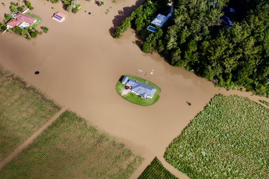 rubycornish's tweet photo. Is this brilliant engineering or a brilliant stroke of luck? #Murwillumbah #NSWFloods @abcnews @abcnews24 https://t.co/nkEg5VCcwT