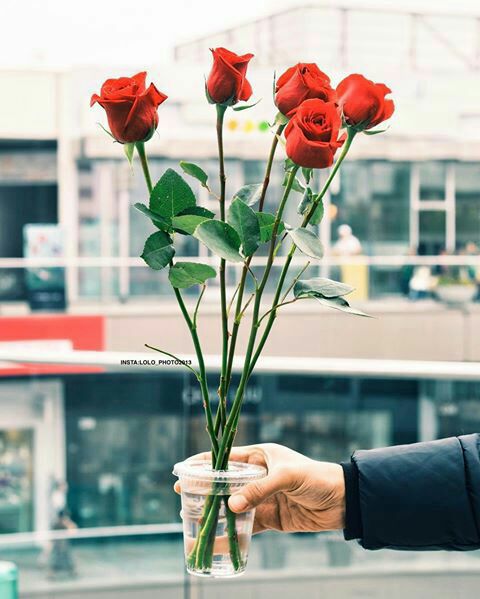 n___salaaah's tweet photo. اللهم كما انرت الارض بنور 🎆شمسك انر قلوب💙 المسلمين بضياء حبك ❤

#جمعه_مباركه 😘 https://t.co/2q9CbX7Qvq