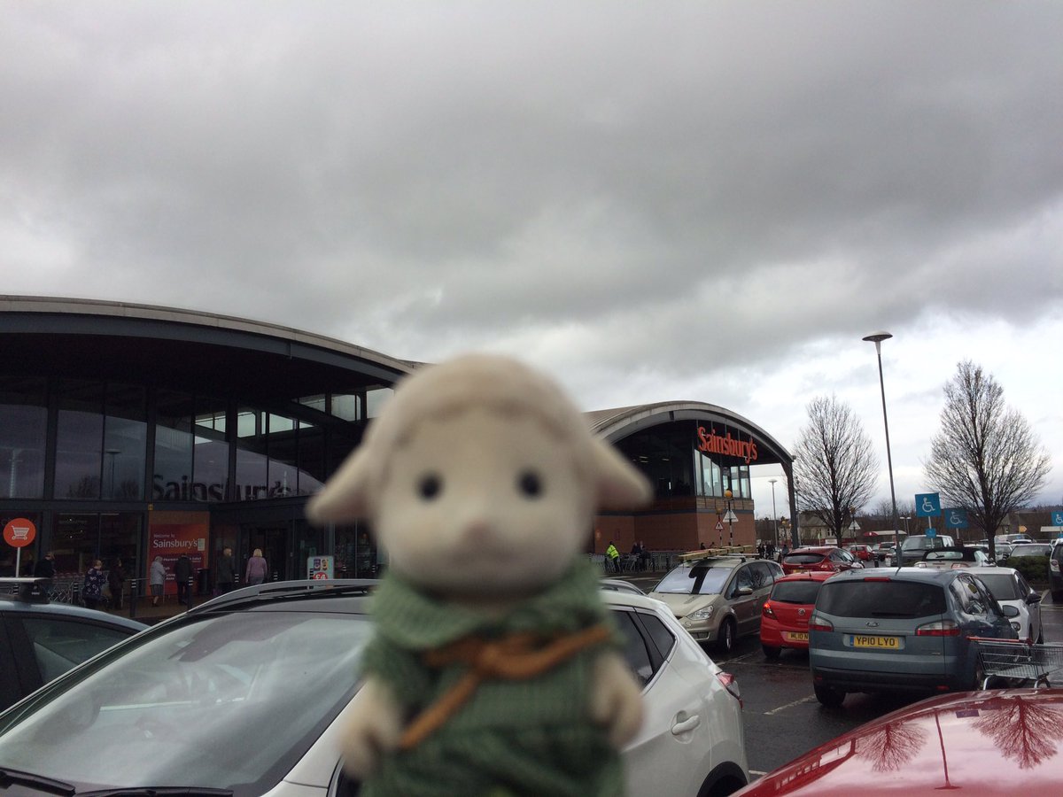 Yesterday I & my little friend #EmmatheSheep went to #Sainsburys #sylvainianfamilies