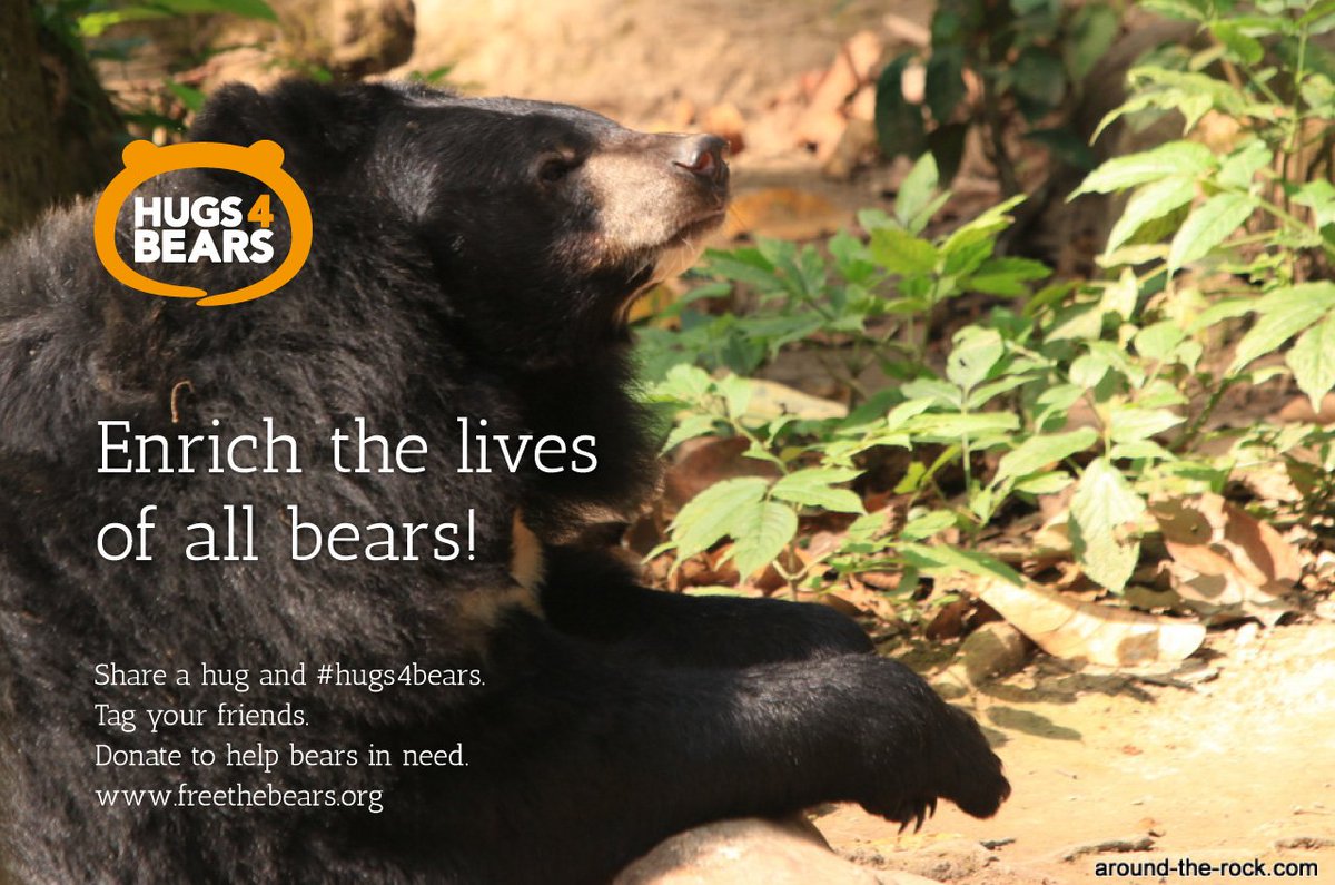 hugs4bears's tweet photo. @freethebears enriching the lives of bears around the world!
#hugs4bears #bearsmatter https://t.co/ut7pz9UujT