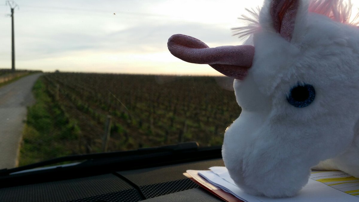fdicerbo's tweet photo. @Sapducoeur @fdicerboSAP @LaCourseduCoeur @ocoustere on voit mieux les vignobles comme ça? https://t.co/61tSMkyc9f
