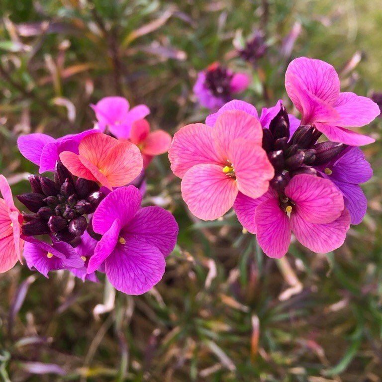 اللهم ارحم من اشتاقت له النفس واغفر له ووسع مدخله واجمعنا به في جنات النعيم .. #ابي #اخي  🌺