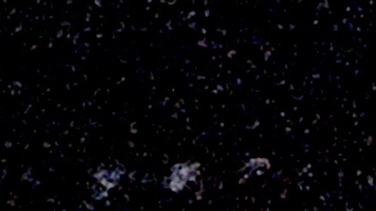 STARRTRADES1 tweet media