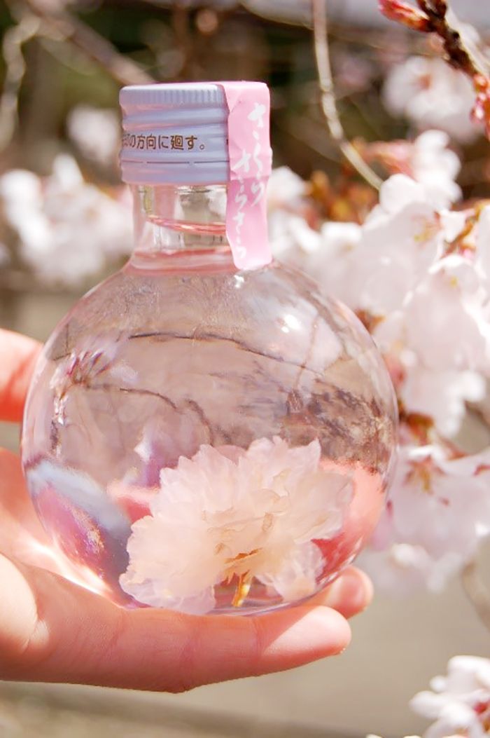 Haconiwa 書籍 U35つくるひと事典 発売中 お花見に持って行きたいおしゃれなデザインのお酒 ボトルの中で桜 が咲いているお花見にぴったりのお酒 さくらさらさら 桜で有名な吉野山がある奈良県吉野町で造られています 甘酸っぱい桜入り