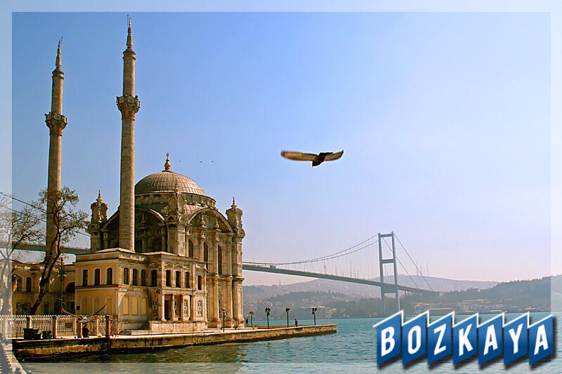 seyapi's tweet image. Günümüz ɑydın Cumɑmız mübɑrek olsun.
Hɑyırlı Cumɑlɑr.