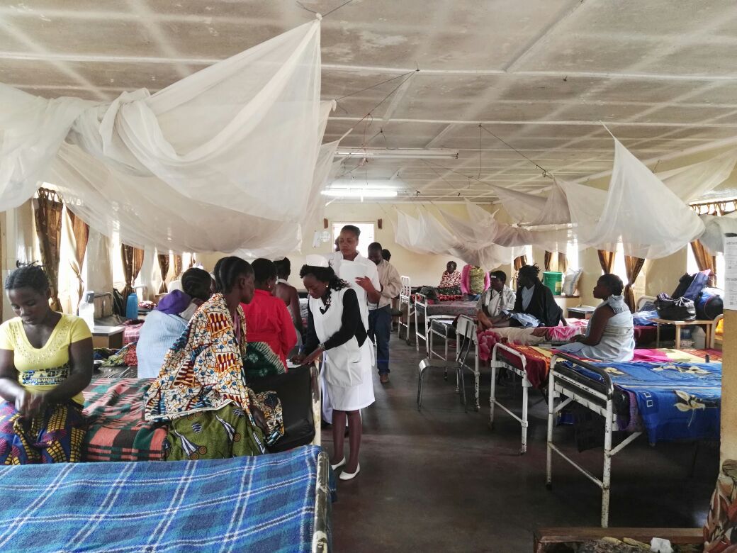 Lindsey Pollaczek tweet media